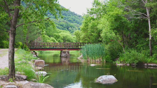 A tranquil river with a wooden bridge