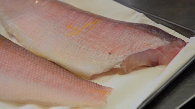 Fresh fish fillets wrapped in plastic