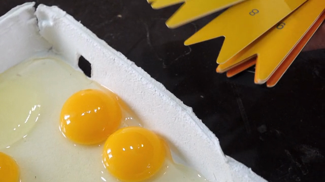 Egg yolks in a carton with color fan