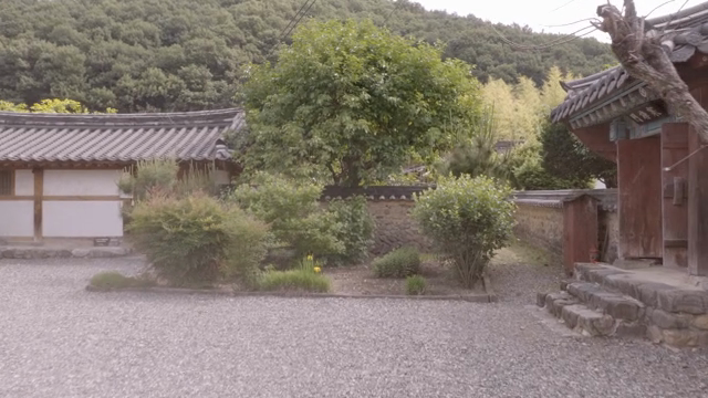 Traditional Korean gate and courtyard