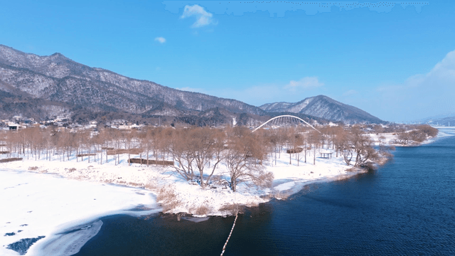 눈 덮인 숲 풍경