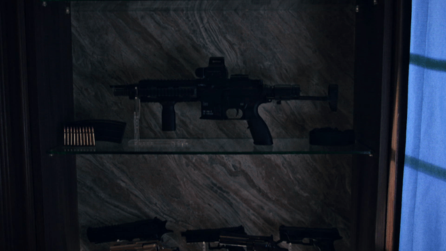 Guns and ammunition displayed on shelves