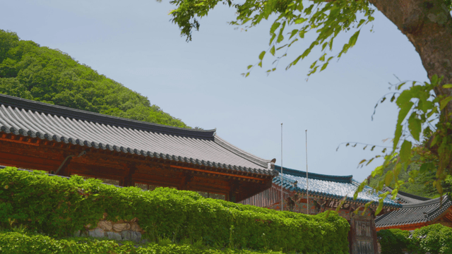 산을 배경으로 한 전통 한국 절