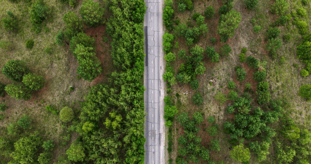 A road cutting through a lush forest