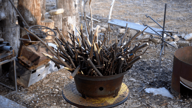 Pile of sharpened sticks in a pot
