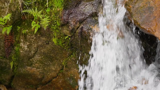 Water cascading over mossy rocks