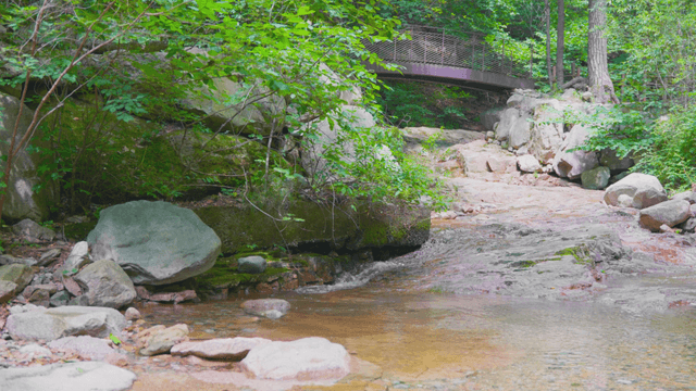 Tranquil stream flowing under a bridge