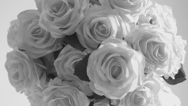A bouquet of roses in full bloom