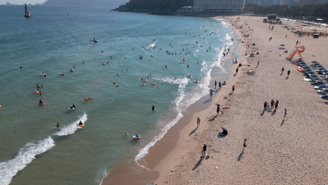 Crowded beach with people swimming