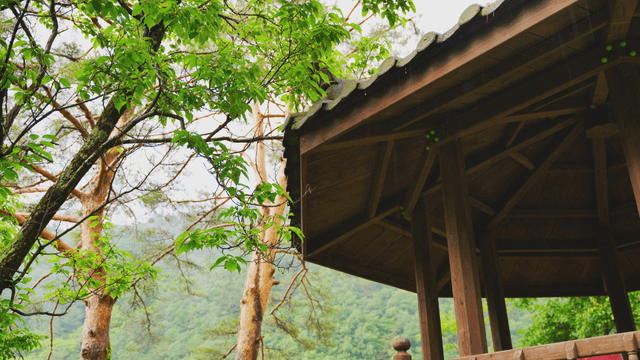 Pavilion in the forest on a rainy day