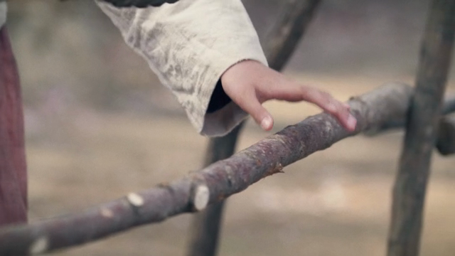 A hand gently touching a wooden fence