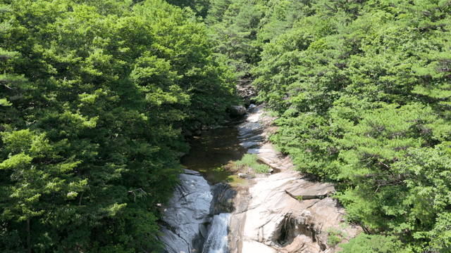Quiet waterfall in green forest