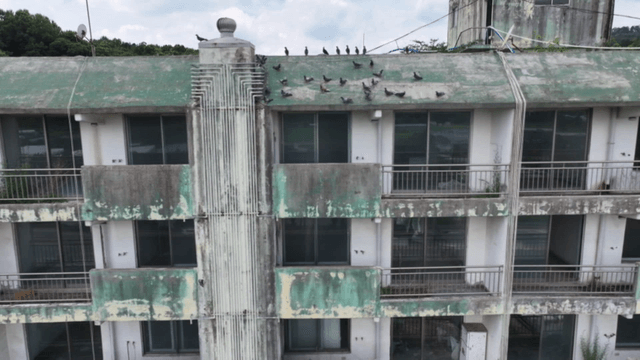 Old apartment with pigeons on the roof