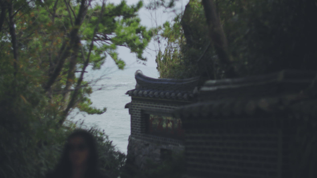 Traditional Korean tiled wall with a distant sea view