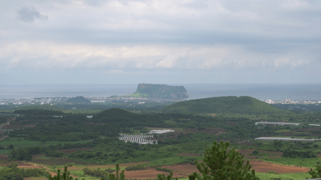 Grassland with distant view of Seongsan Ilchulbong