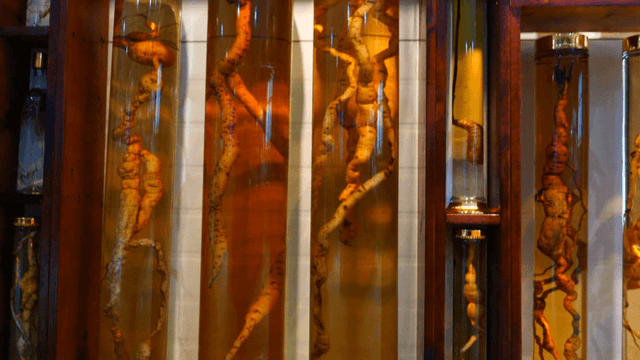 Displayed Old Infusion Liquors