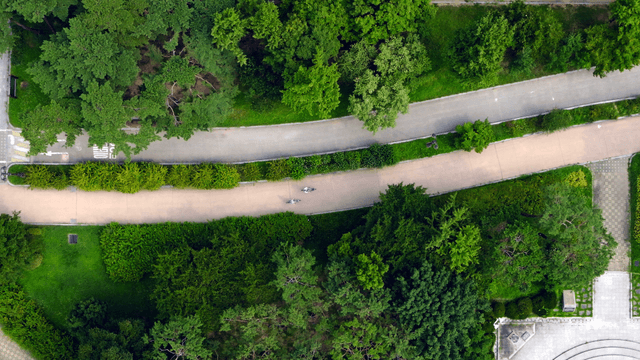 Aerial view of a park with pathways and trees