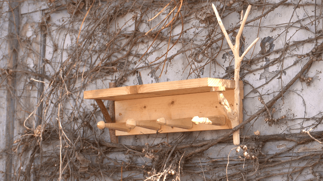 Wooden shelf on a vine-covered wall