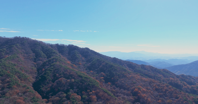 Mountain range with autumn foliage