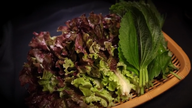 Fresh lettuce and perilla leaves in a basket