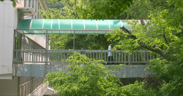 Man and woman crossing small suspension bridge separately