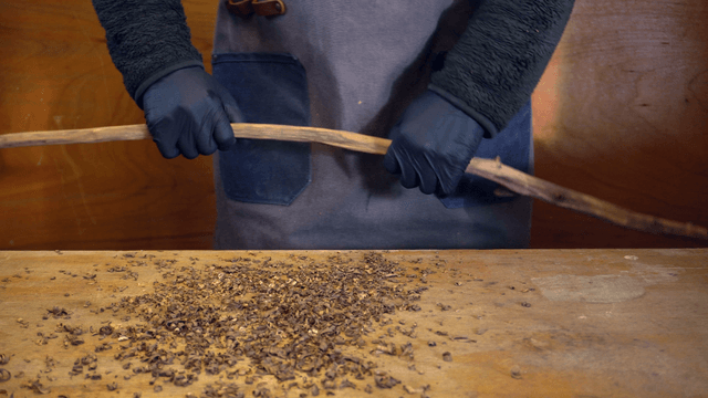 Person breaking a branch indoors