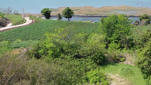 Lush farmland near a serene lake