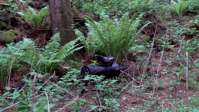 Wooden sculpture in a lush green forest