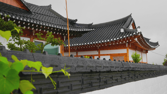 Traditional hanok with tiled roof beyond a rain-soaked wall