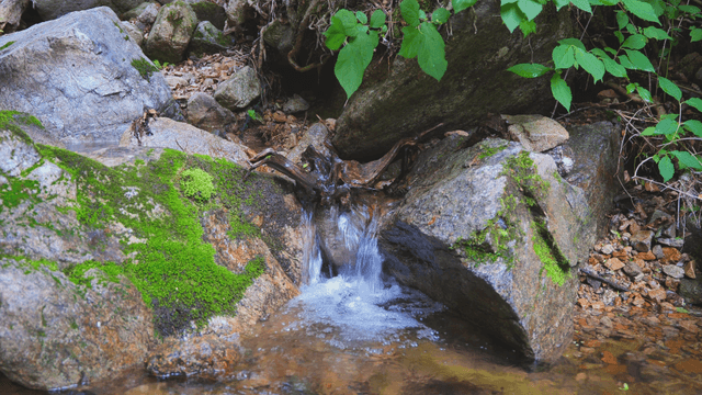 A small valley flowing over rocks