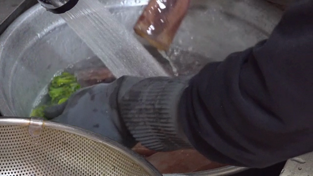 Cleaning fresh squid and vegetables