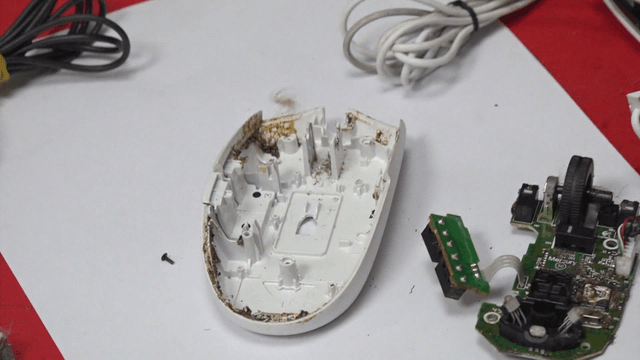 Disassembled computer mouse parts