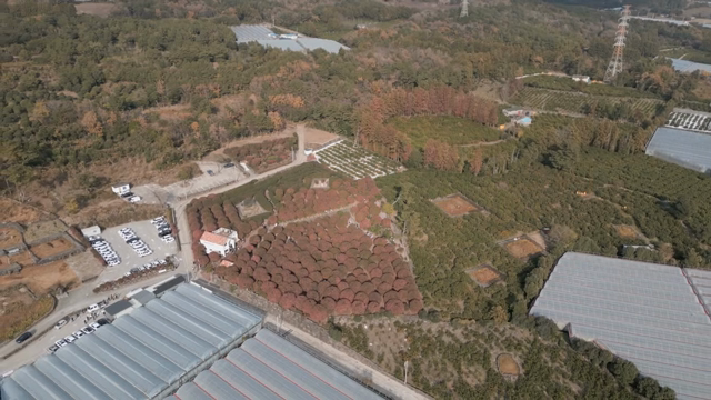 Aerial view of a park with greenhouses