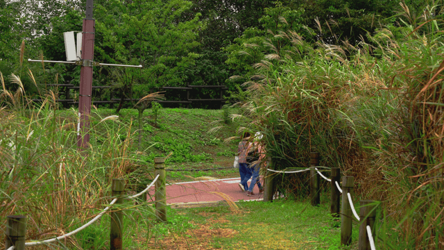 People strolling in the autumn silver grass park