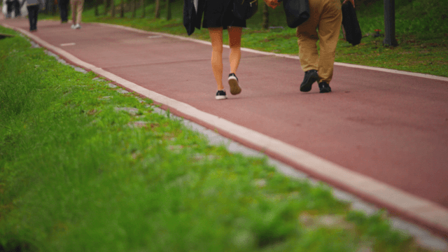 Couple walking along the park path