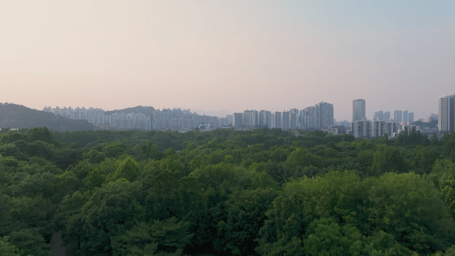 Green forest in downtown Seoul