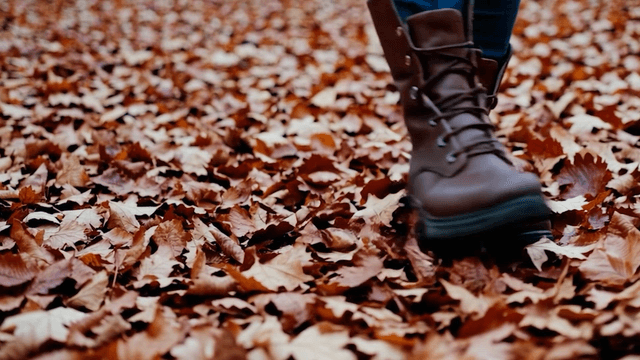 Walking through fallen autumn leaves