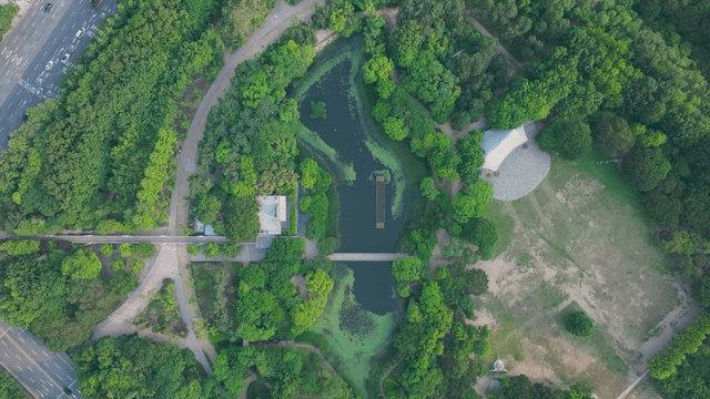 Green park with pond