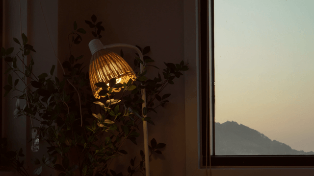 Cozy room with a lamp and window view