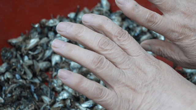 멸치들이 담긴 빨간 대야 위로 펼쳐진 노인의 손