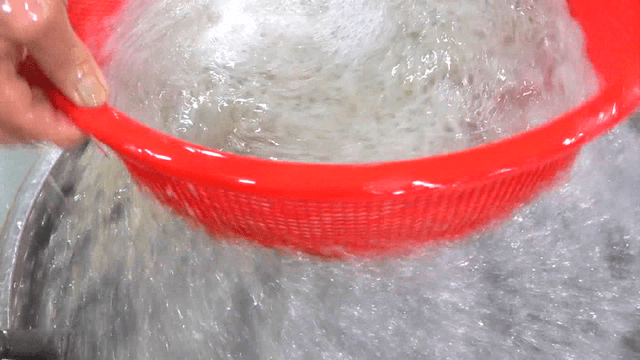 Washing ice fish in red basket