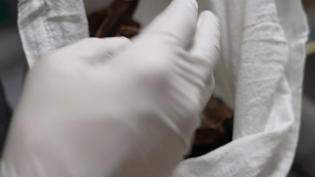 육수 주머니에 담긴 말린 생선 머리