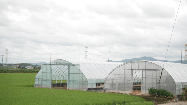 Greenhouses on wide field under cloudy sky