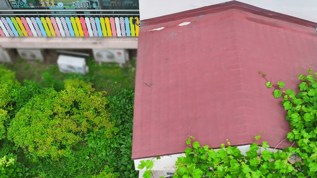 Colorful building facade with garden