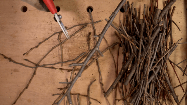 Branches being cut on a wooden table