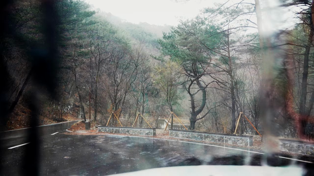 A rainy forest road with misty trees