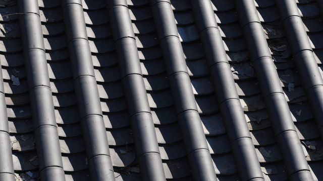 햇빛 속 전통 한국 기와