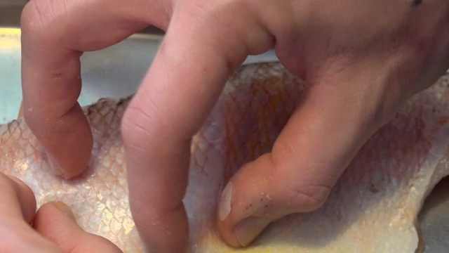A person removing fish scales by hand