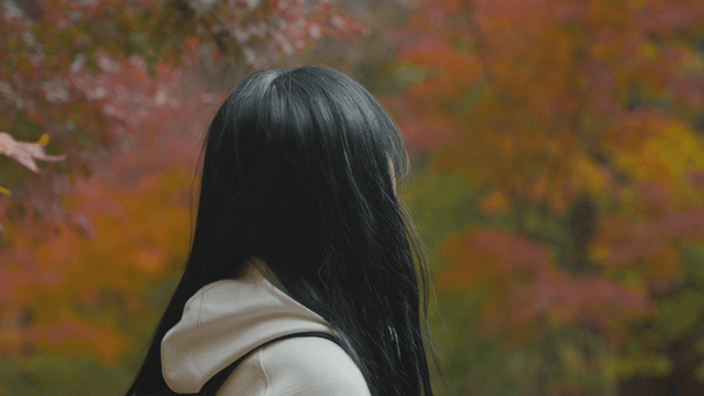 Woman enjoying autumn foliage and sunlight