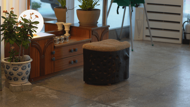 Cozy indoor space with plants and unique wooden furniture